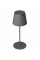 Настольная лампа Proove Vintage Black (NLPV05012001)