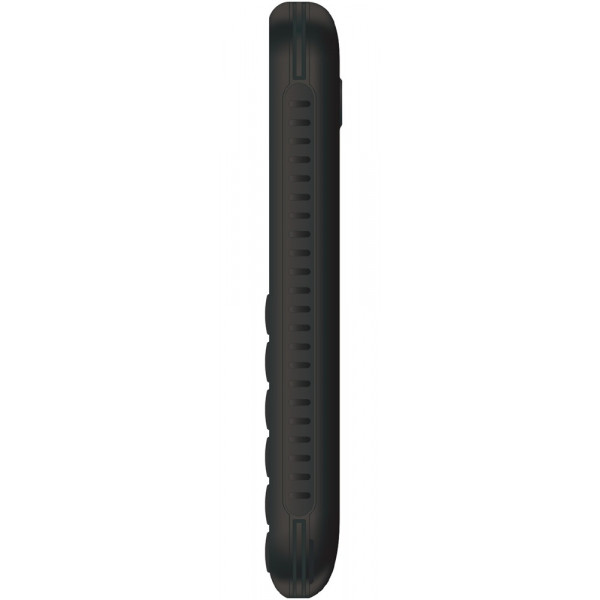 Мобильный телефон Ergo R202 Dual Sim Black