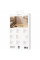 Кабель Proove Rebirth USB to Lightning 2.4A (1m) Green (CCRE12001111)