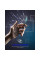 Захисне скло ArmorStandart Space Black Icon для iPhone 15 Pro Max (ARM68228)