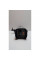 Студійний спалах Hyundae Photonics Combo 700