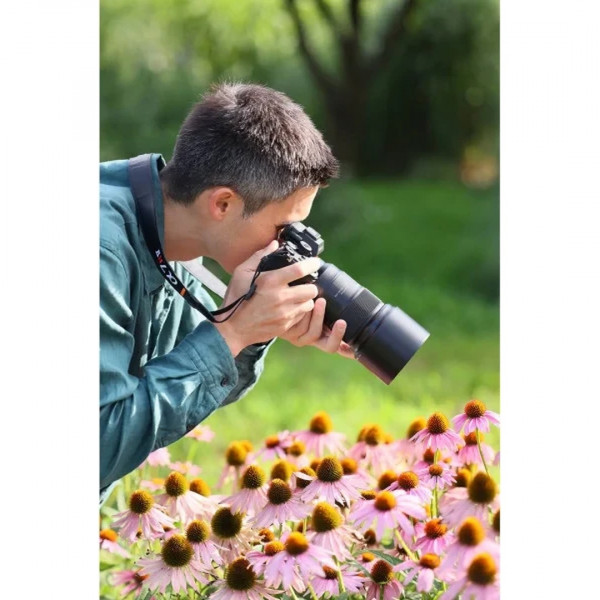 Объектив Tamron AF 90mm F/2.8 Di III MACRO VXD для Nikon Z
