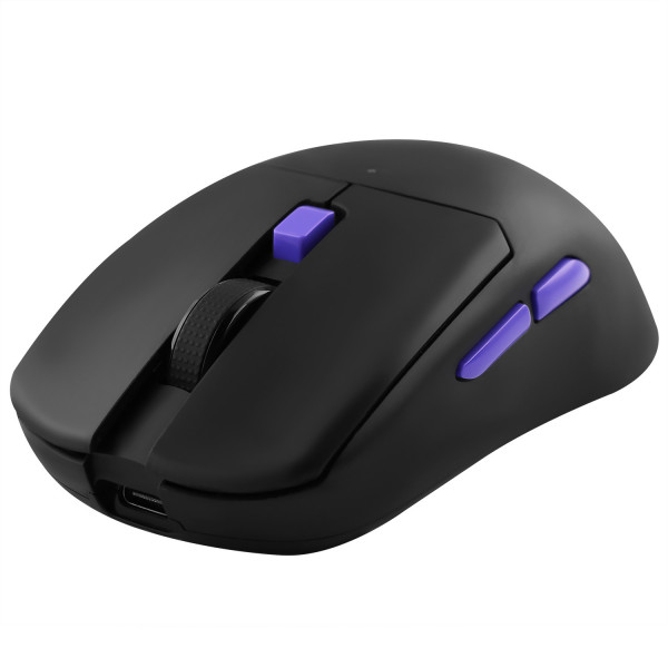 Бездротова ігрова миша Proove Gaming Everon Black (WMEV00022001)