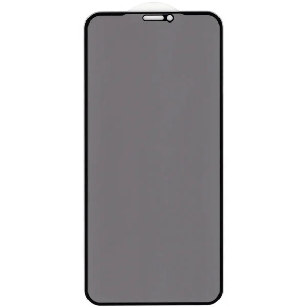 Защитное стекло Privacy Classic для iPhone 11 Pro/X/Xs